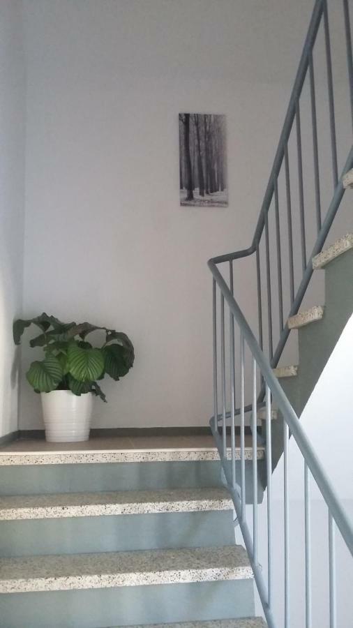 Mistel Apartman Боденсдорф Экстерьер фото